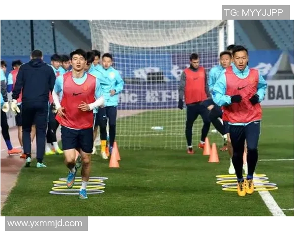 体工与平阳对决前瞻比分预测分析及赛季表现对比