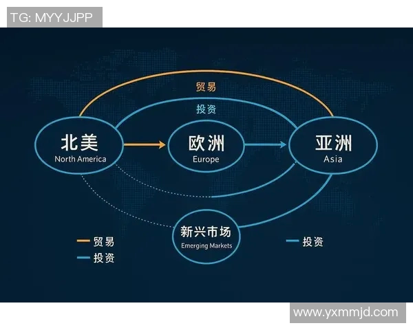 代怀博的崛起与挑战：探索新兴行业背后的机遇与风险分析