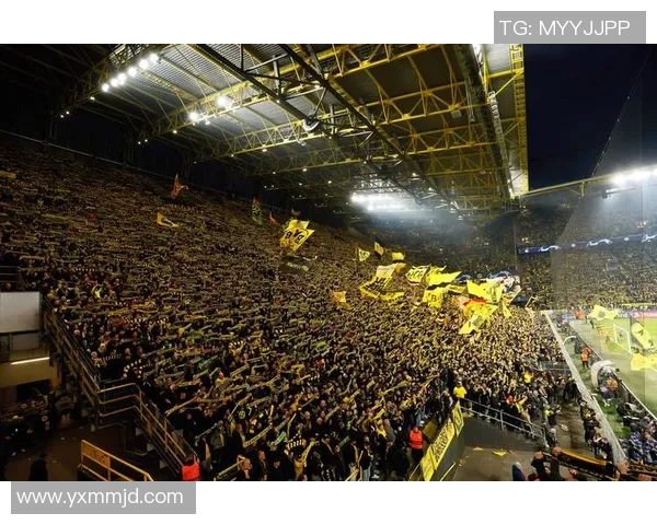 多特蒙德球迷暴力事件引发欧冠禁赛及巨额罚款风波 多特蒙德球迷暴力事件引发欧冠禁赛及巨额罚款风波