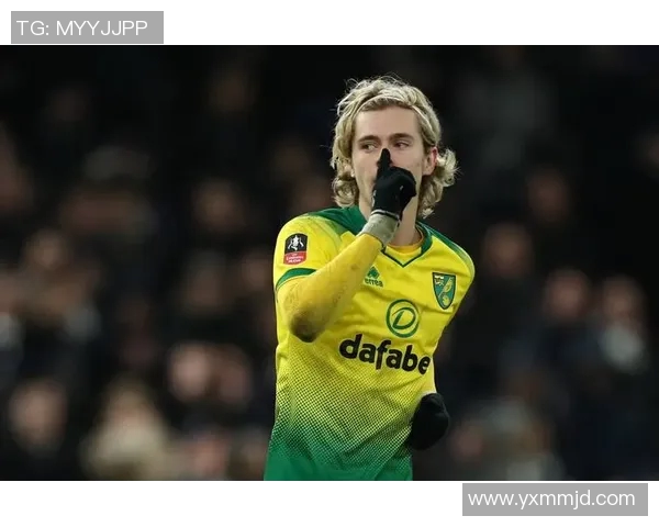 米尔诺尔迎战诺维奇争夺英冠积分榜关键战役