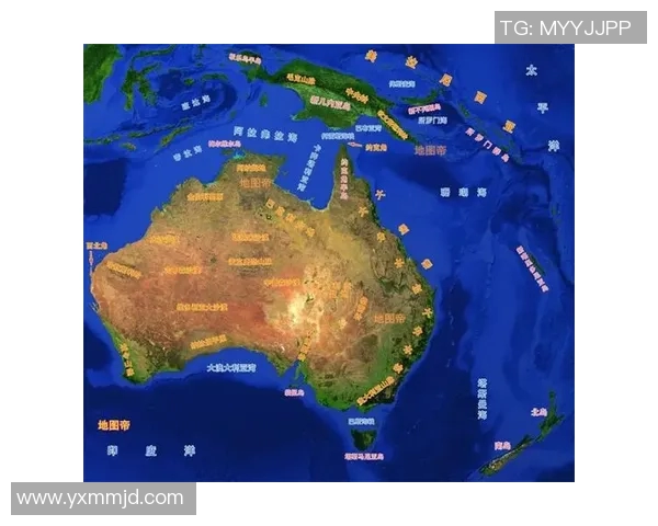 中华台北与纽西兰比赛前瞻分析及胜负预测解析