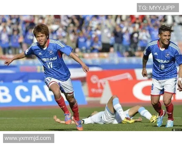 水户蜀葵与喜悦的对决探讨情感与自然的交融之美