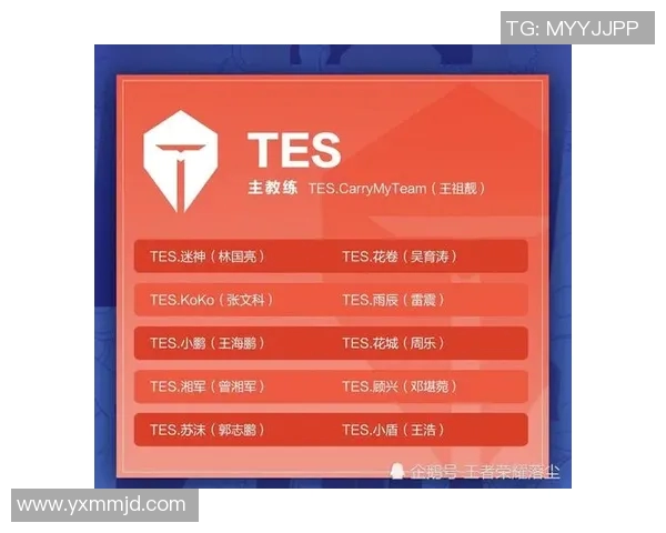 王者荣耀战术解析:WE战队独特运营体系与成功策略探讨 王者荣耀战术解析:WE战队独特运营体系与成功策略探讨