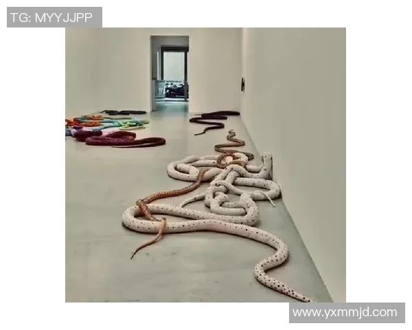 加莱诺的艺术魅力与文化影响力探讨:从创作到当代艺术的启示 加莱诺的艺术魅力与文化影响力探讨:从创作到当代艺术的启示