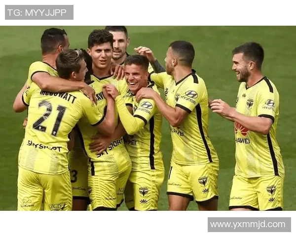 悉尼与墨尔本城足球对决深度分析及战术解析 悉尼与墨尔本城足球对决深度分析及战术解析