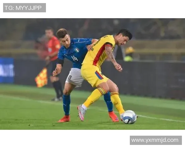 新西兰与黑山世界杯对决精彩回顾与赛后分析