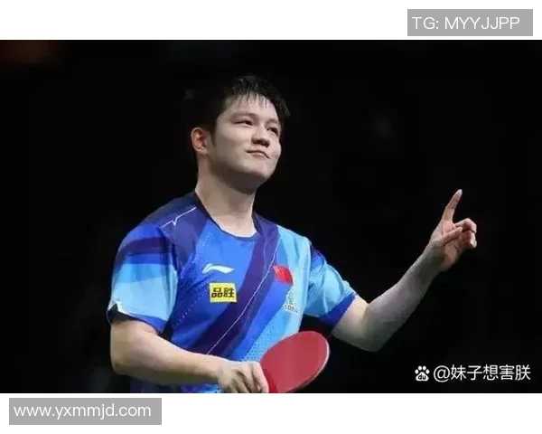 樊振东与马龙2017年巅峰对决回顾乒乓球历史上的经典时刻