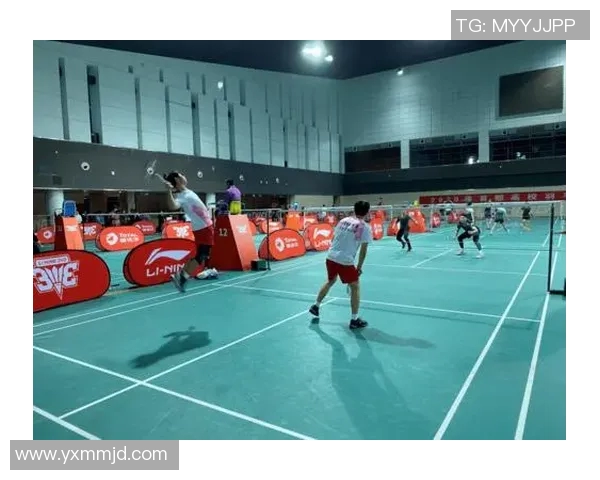 上海羽毛球队实力深度解析与各队对比分析