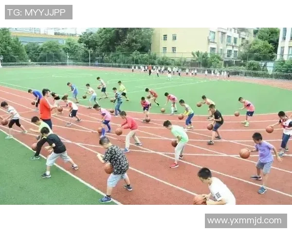 热议飞盘运动武汉飞盘队如何实现个人能力的全面提升与变革