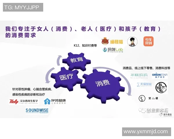 西安飞盘队配合表现数据分析揭示团队协作与战术执行的关键因素